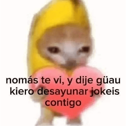 No sé 21