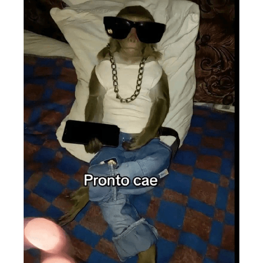 Lo dí todo 7