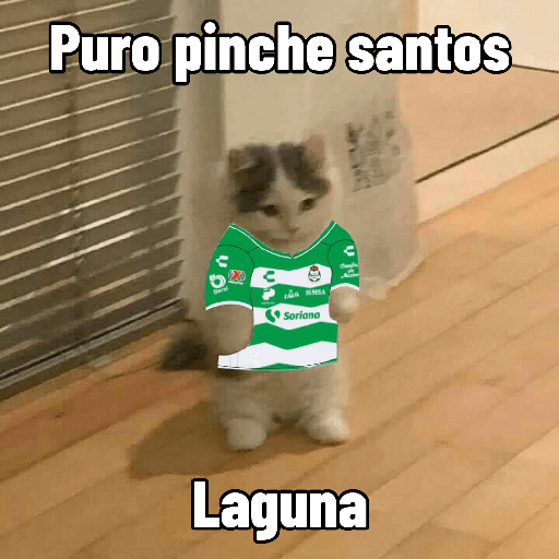 Lo dí todo 12