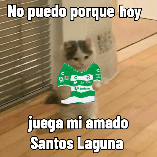 Lo dí todo 14