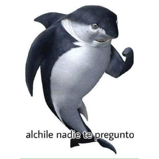 Lo dí todo 10