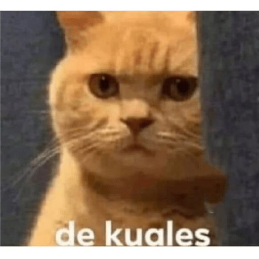 Lo dí todo 17