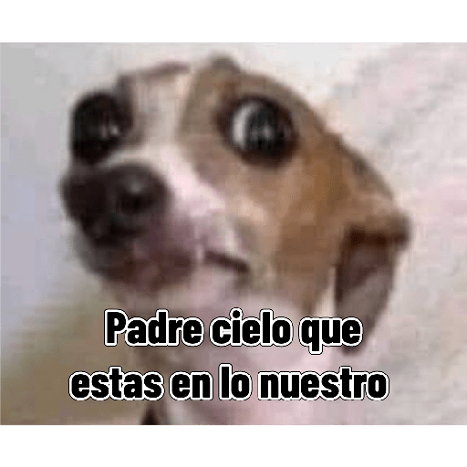 Lo dí todo 11