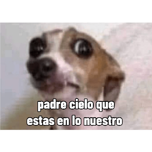 Lo dí todo 13