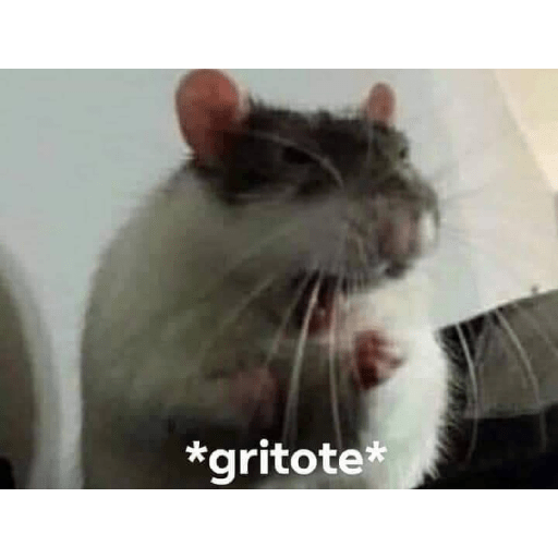 Lo dí todo 24