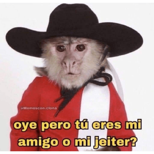 Lo dí todo 16