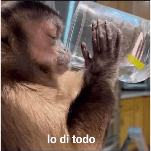 Lo dí todo 6