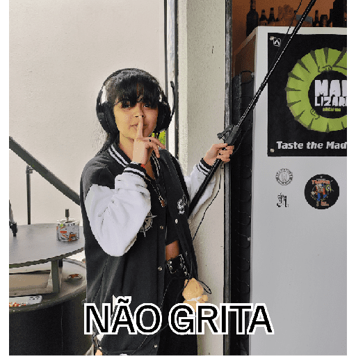 Sla 13