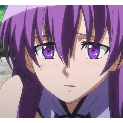 Akame ga kill🗡️/Shirel☀️ 8