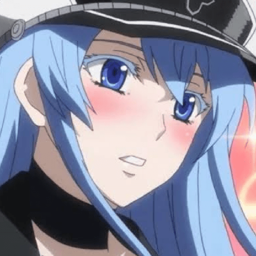 Akame ga kill🗡️/Shirel☀️ 24