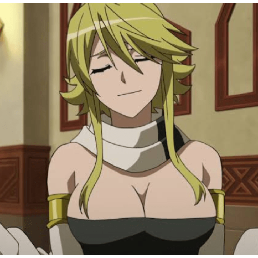 Akame ga kill🗡️/Shirel☀️ 12