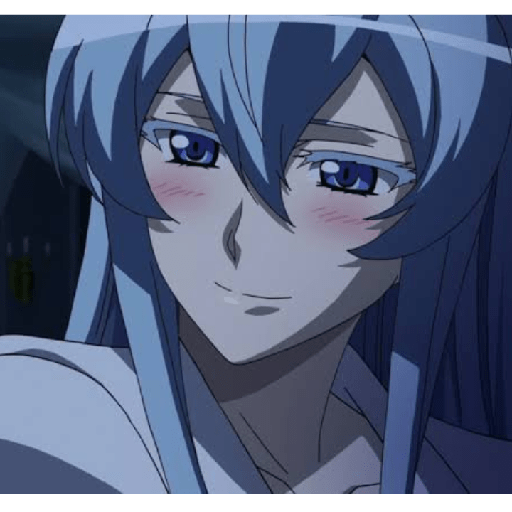 Akame ga kill🗡️/Shirel☀️ 22