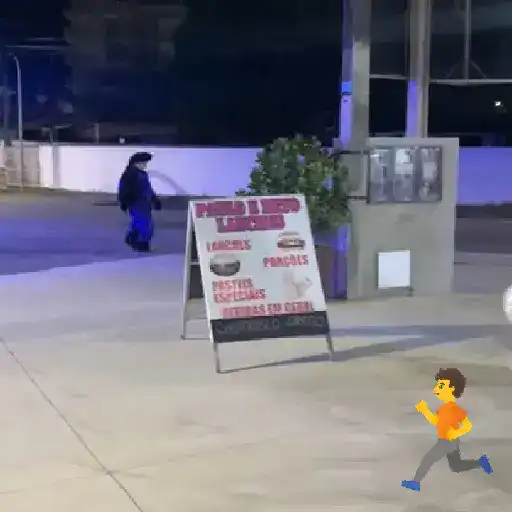 Minhas figurinhas 11