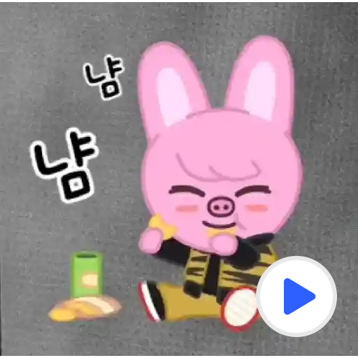 skzoo kakaotalk