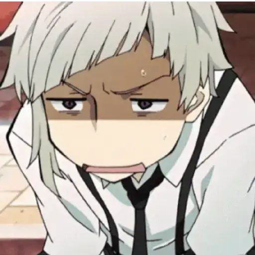 Bungo stray dogs animated 30