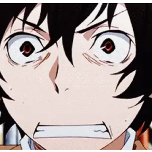 Bungo stray dogs animated 23