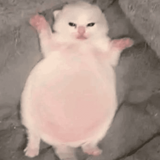 Linganguli 24