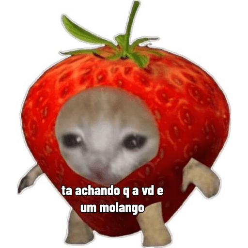 Meme