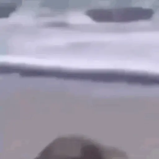Xde