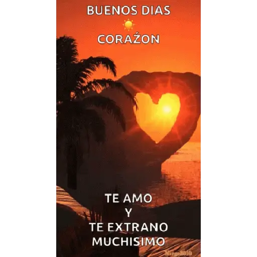 Amore 11