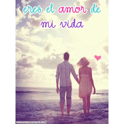 Amore 12