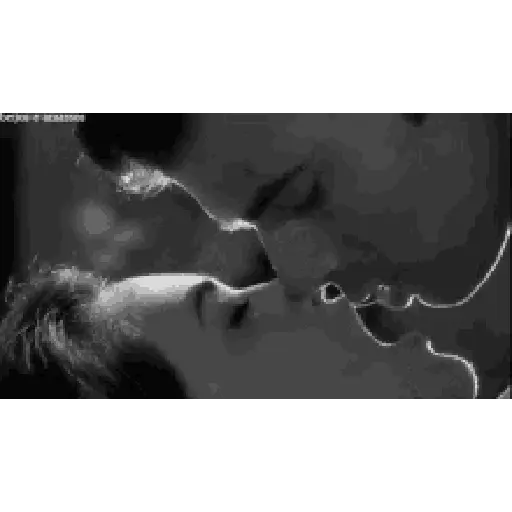 Amore 26