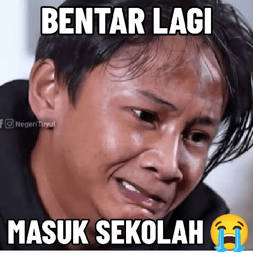 Sticker meme random 19