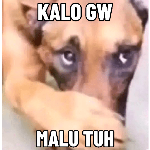 Sticker meme random 25