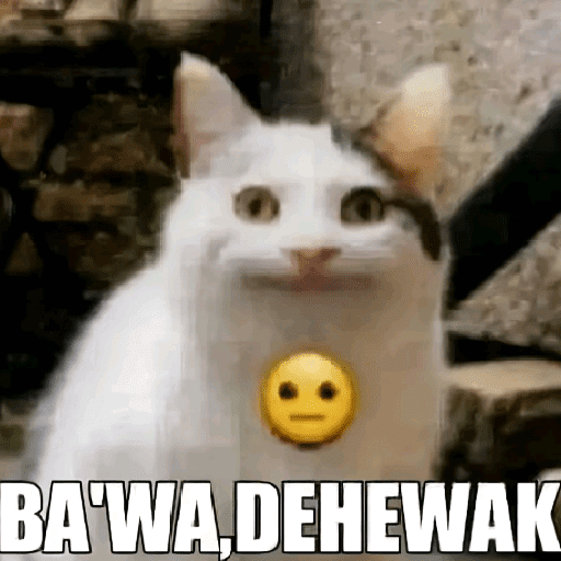 Kucing meme  7