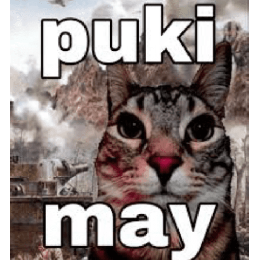 Kucing meme  8