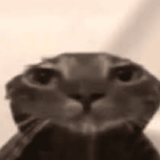 Kucing meme  4