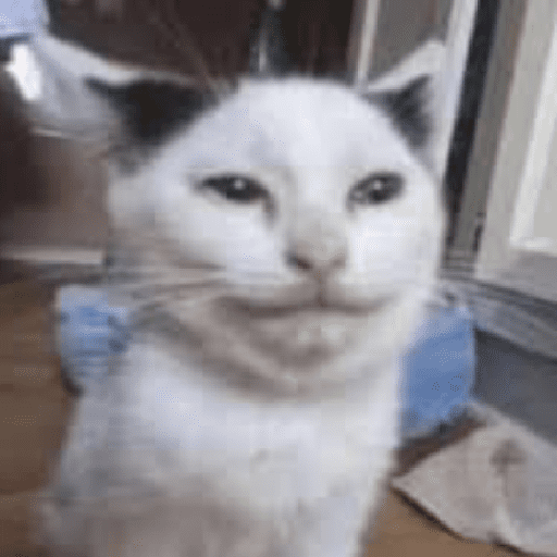 Kucing meme  15