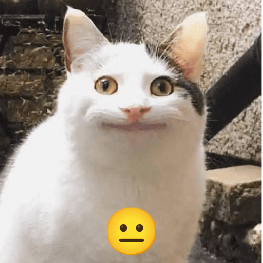 Kucing meme  14
