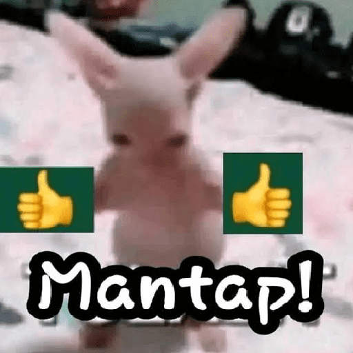 Kucing meme  26