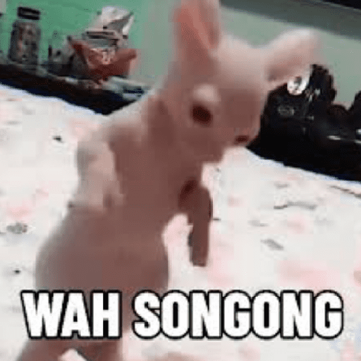Kucing meme  27