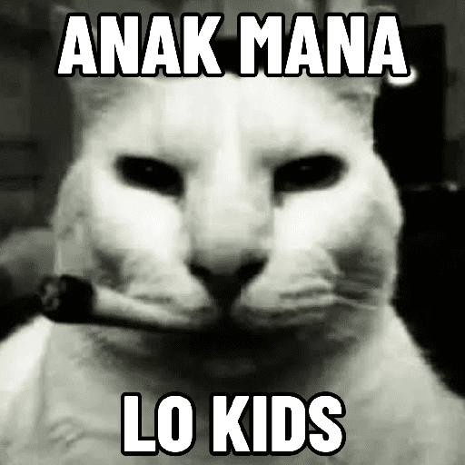Kucing meme  16