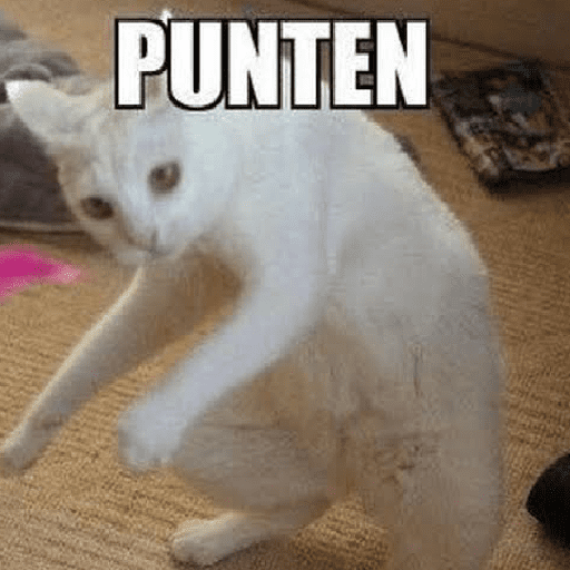 Kucing meme  18
