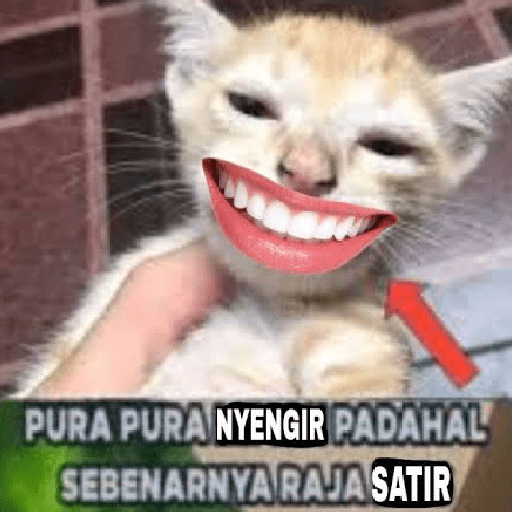 Kucing meme  10