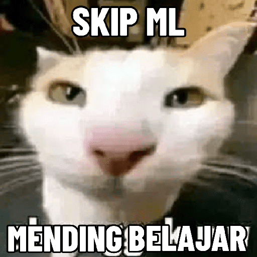 Kucing meme  24