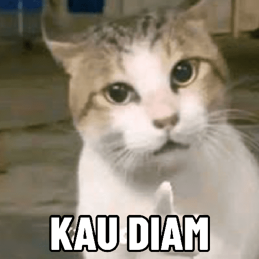 Kucing meme  20