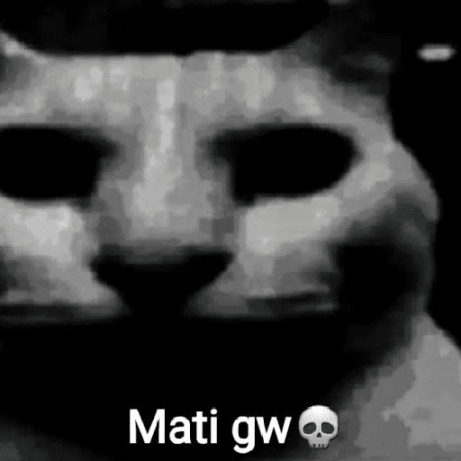 Kucing meme  21