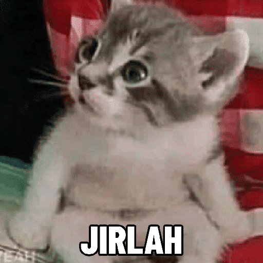 Kucing meme  23