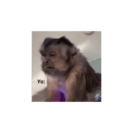 Xdhdhdh 29