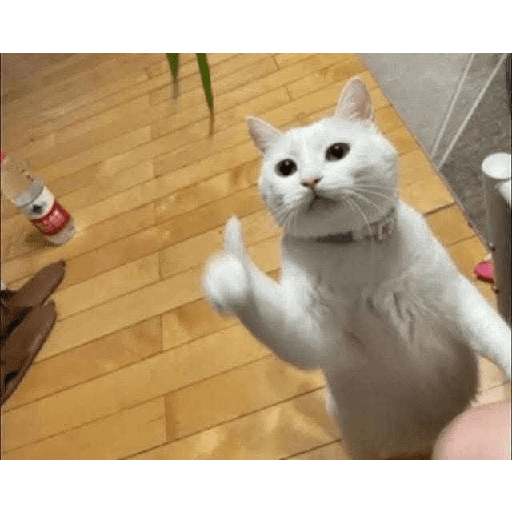 Xdhdhdh 19