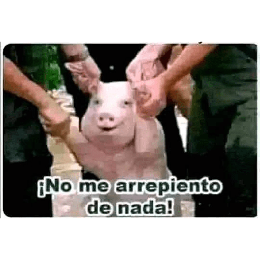 Xdhdhdh 11
