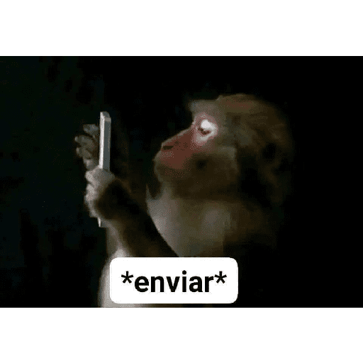 Xdhdhdh 4