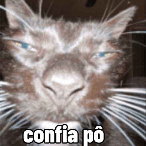 Meme  25