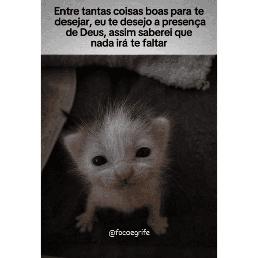 Meme  29