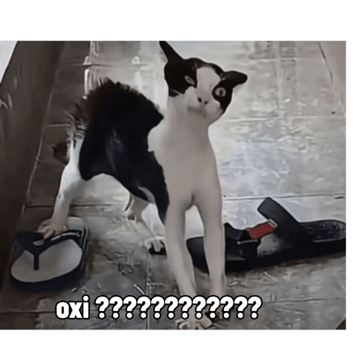 Meme  27