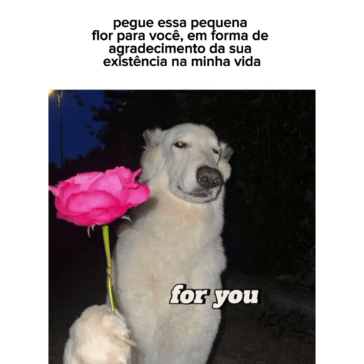 Meme  28